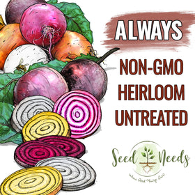 Seed Needs Rainbow Beet Seeds multicolor beets image showcases golden, red, and white varieties