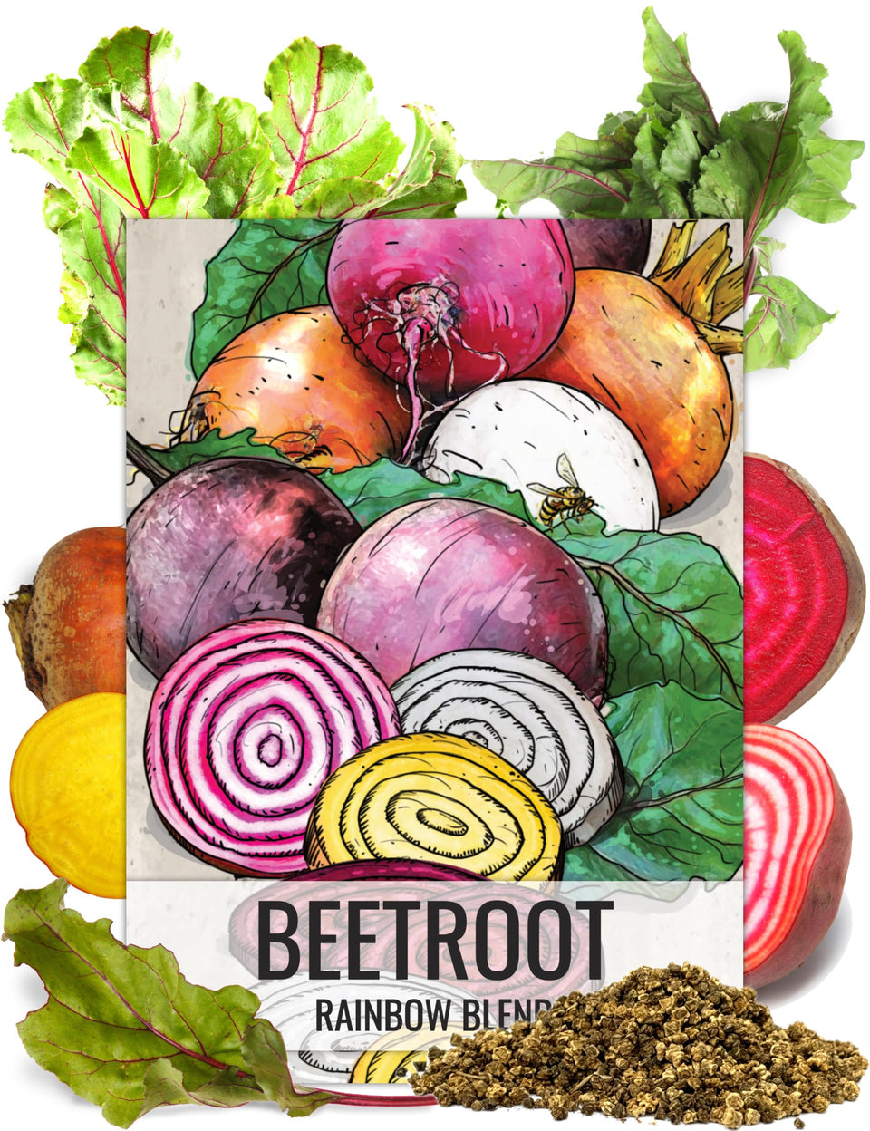 Seed Needs Rainbow Beet Seeds packet front shows vivid color mix for striking garden produce