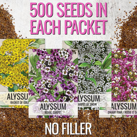 Seed Needs Royal Carpet alyssum seed packet with purple blooms