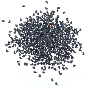 Seed Needs Rue seeds blue-green leaves add ornamental touch and pest deterrence