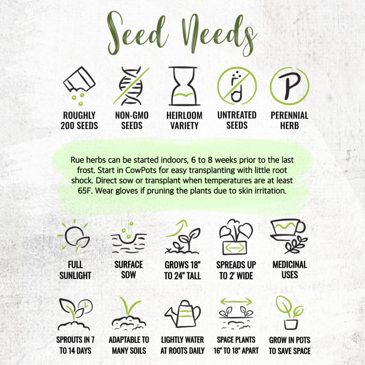 Seed Needs Rue seeds garden bed idea for flavorful, easy-to-grow perennials