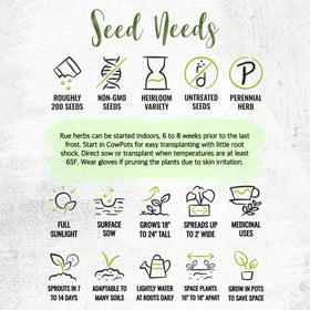 Seed Needs Rue seeds garden bed idea for flavorful, easy-to-grow perennials