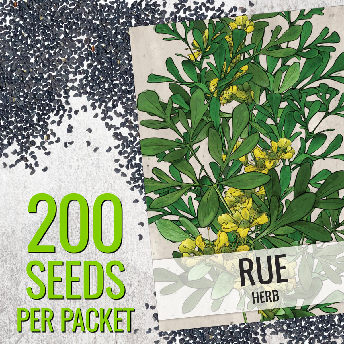 Seed Needs Rue seeds label closeup showing open-pollinated heritage seeds