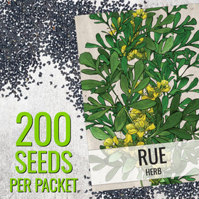 Seed Needs Rue seeds label closeup showing open-pollinated heritage seeds