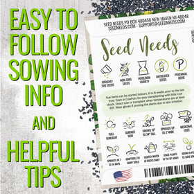Seed Needs Rue seeds being sown in soil for outdoor herb beds