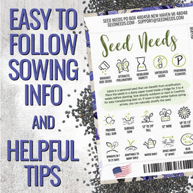 Seed Needs Sapphire Blue Sage mature plants thriving in a sunny garden bed.