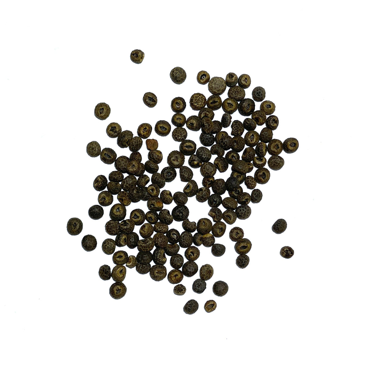 Seed Needs seed packaging with sowing tips for easy planting.
