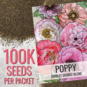 Seed Needs Shirley poppy seeds reveal a color range from pink to white for vibrant borders.