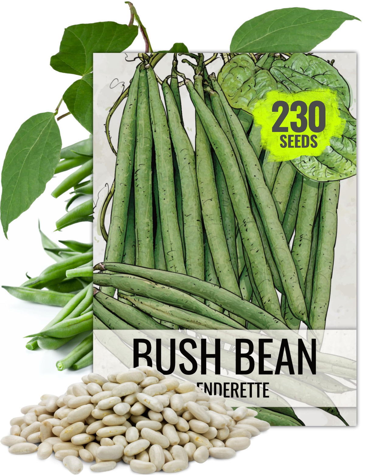 Seed Needs Slenderette pods — 5-inch slender beans, crisp and sweet for fresh eats.