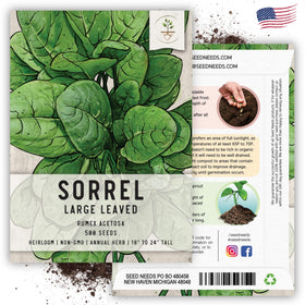Seed Needs sorrel garden bed; thrives in sun to partial shade with well-drained soil.