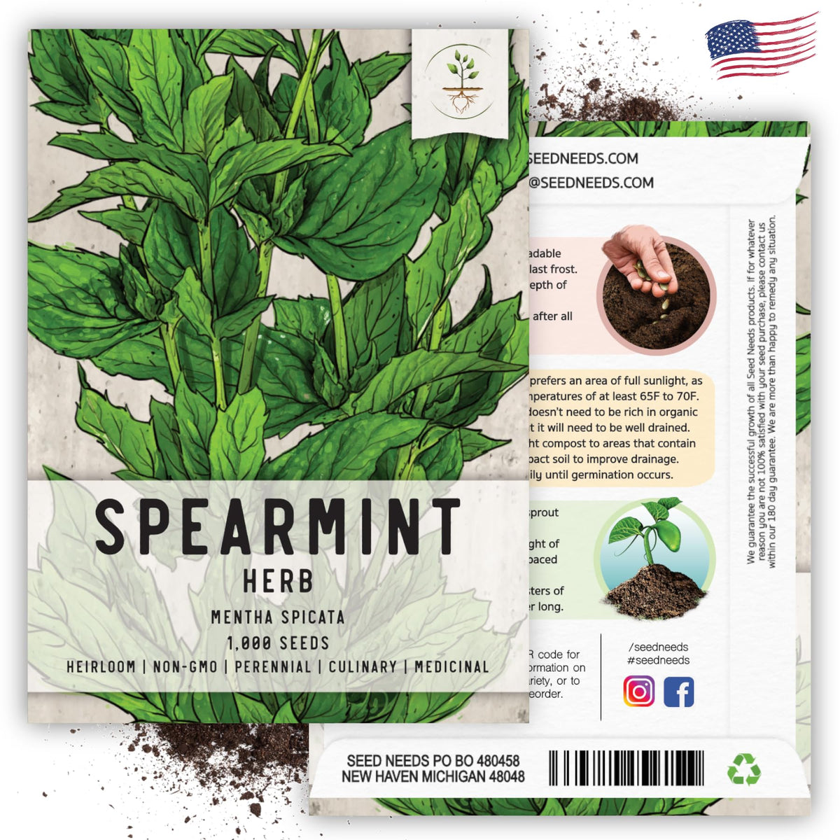 Seed Needs spearmint thriving in sunny outdoor herb garden.