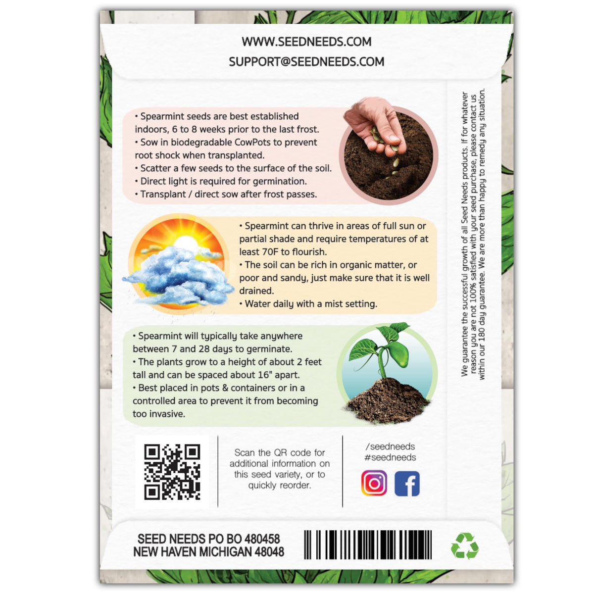 Seed Needs spearmint seeds on garden bed, thriving in moist, well-drained soil.