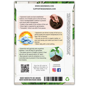 Seed Needs spearmint seeds on garden bed, thriving in moist, well-drained soil.