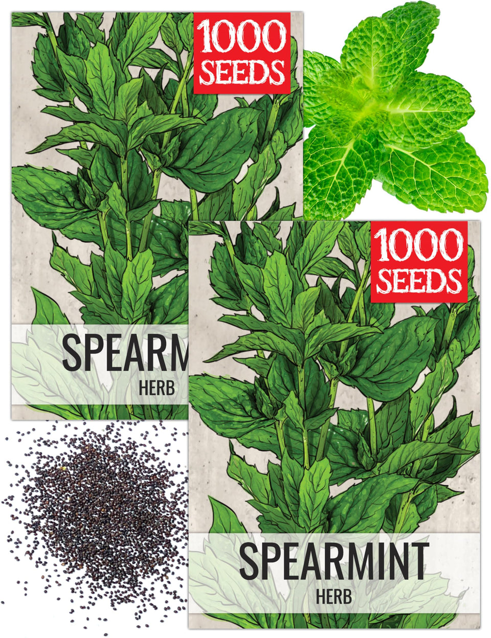 Seed Needs spearmint seeds packaging shown with sowing instructions and heirloom quality.