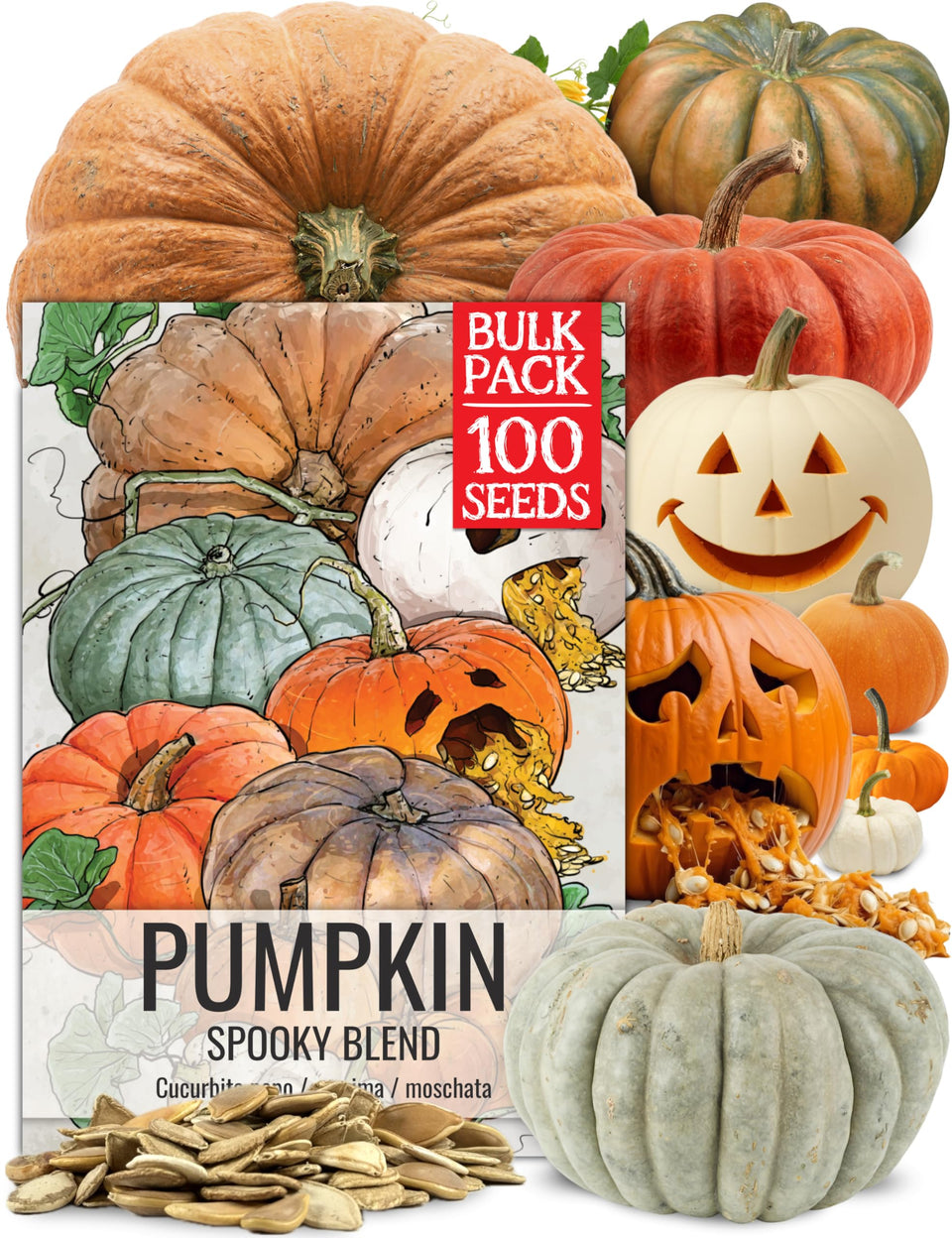 Seed Needs spooky blend seed pouch front with resealable zipper