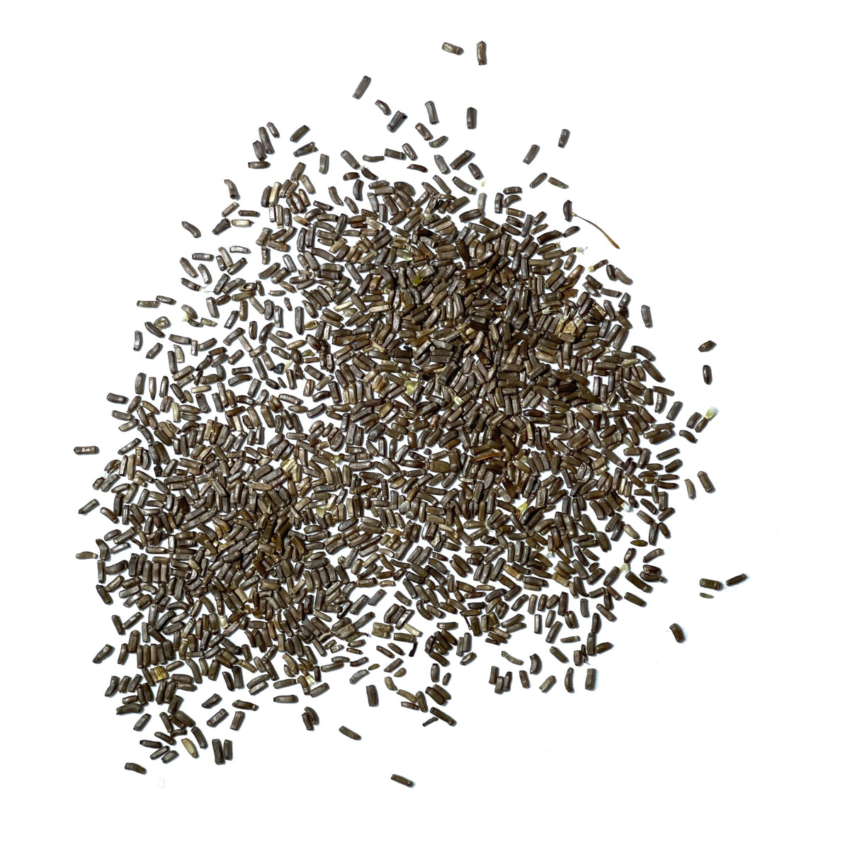 Seed Needs Strawflower Seeds packaging keeps seeds fresh for reliability