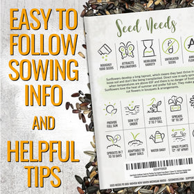 Seed Needs Crazy Blend seeds spilling from a resealable bag for easy storage.