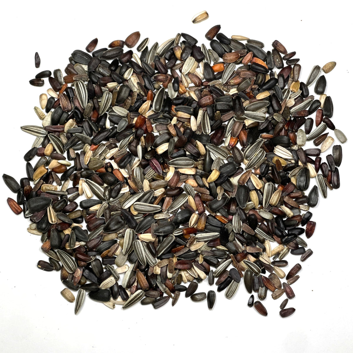 Seed Needs seeds are easy to grow in sunny beds with simple care