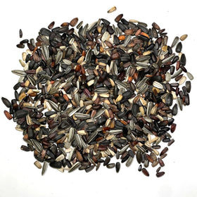Seed Needs seeds are easy to grow in sunny beds with simple care