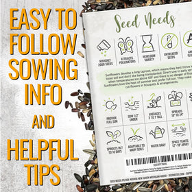 Seed Needs sunflower seeds display red, orange, and yellow varieties for a bright border
