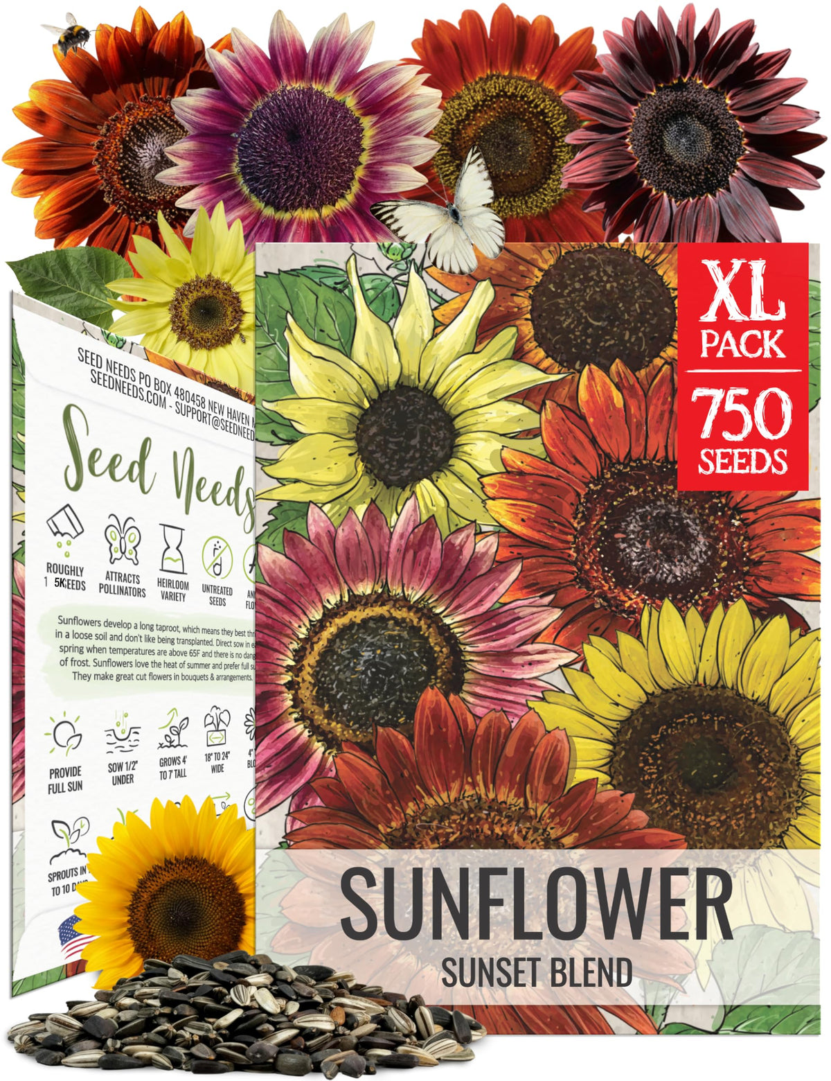 Seed Needs Sunset Blend sunflowers in a 7-variety mix for colorful garden displays.
