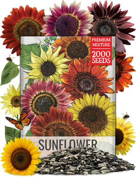 Seed Needs Sunset Blend seed pack for easy planting and color