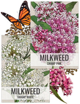 Seed Needs swamp milkweed seeds pack front, ideal for monarch garden planning.