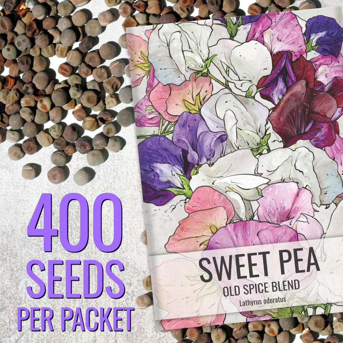 Seed Needs Sweet Pea Old Spice climbing trellis encourages vibrant vertical color.