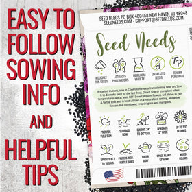Seed Needs Sweet William blooms in pink and white attract pollinators in the garden