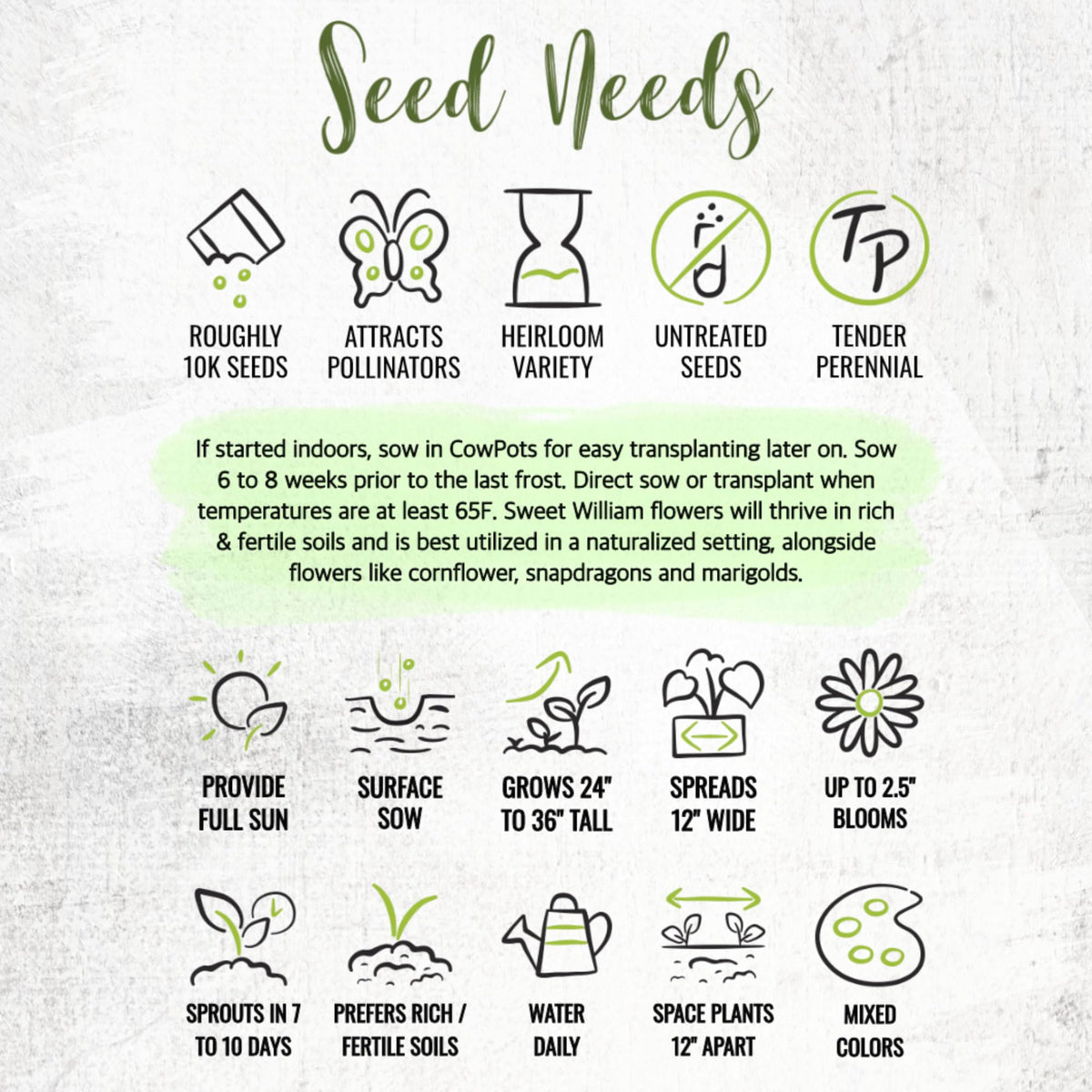 Seed Needs Sweet William edible flowers can garnish salads and desserts