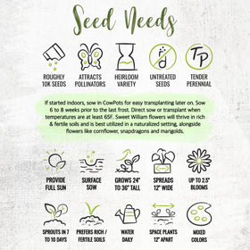 Seed Needs Sweet William edible flowers can garnish salads and desserts
