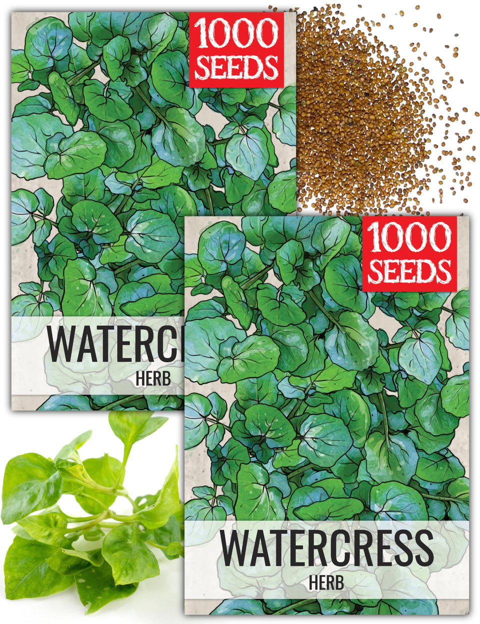 Seed Needs Watercress seed packet artwork promoting easy home cultivation.