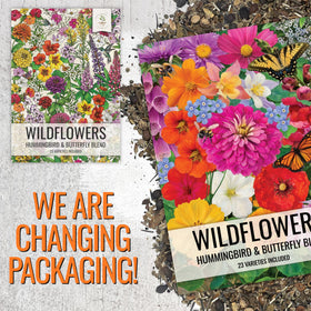 Seed Needs Perennial butterfly mix provides lasting garden interest