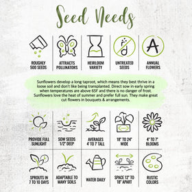 Seed Needs XL seed packet keeps seeds organized and fresh.