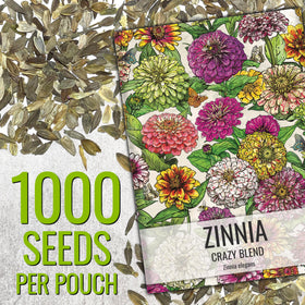 Seed Needs Zinnia California Giants in a sunny garden bed attracting pollinators