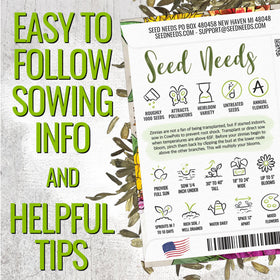Seed Needs Zinnia Candystripe variety adds bright color for bouquets