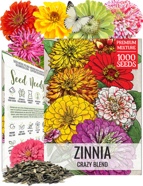 Seed Needs Zinnia Crazy Blend blooms close-up showing vibrant colors for borders