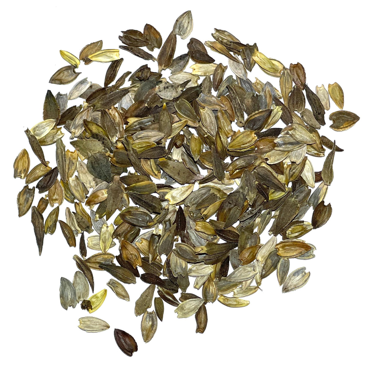 Seed Needs zinnia packaging keeps seeds fresh and viable for planting.