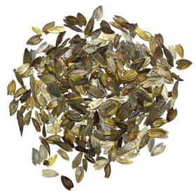 Seed Needs zinnia packaging keeps seeds fresh and viable for planting.