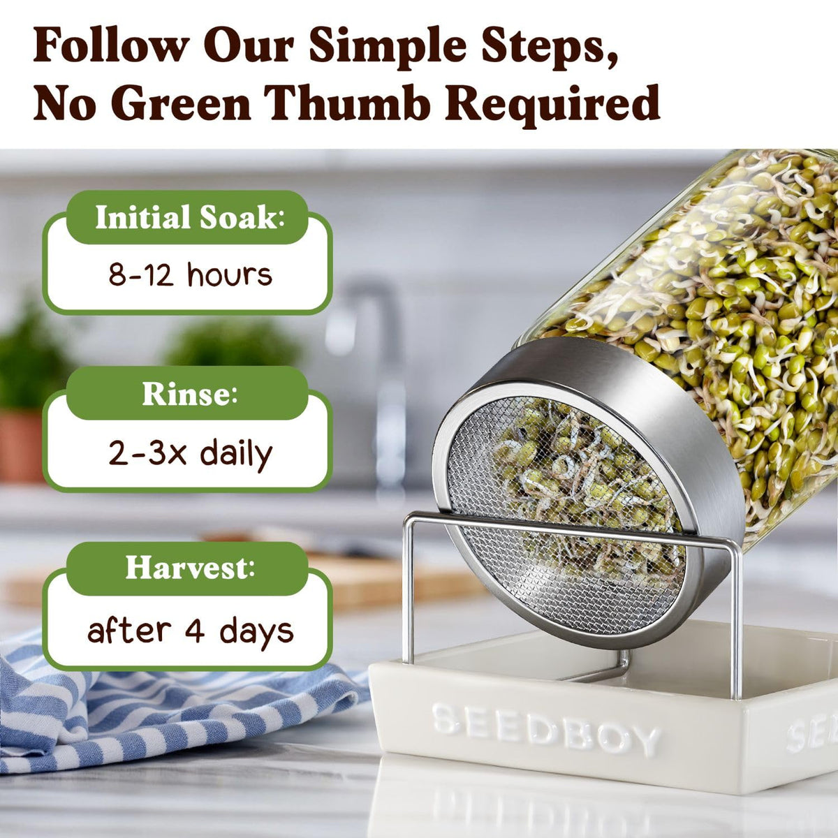 Seedboy mung beans harvested in 4 days for quick use