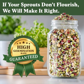 Seedboy adzuki bean sprouts with subtle sweetness for garnishes