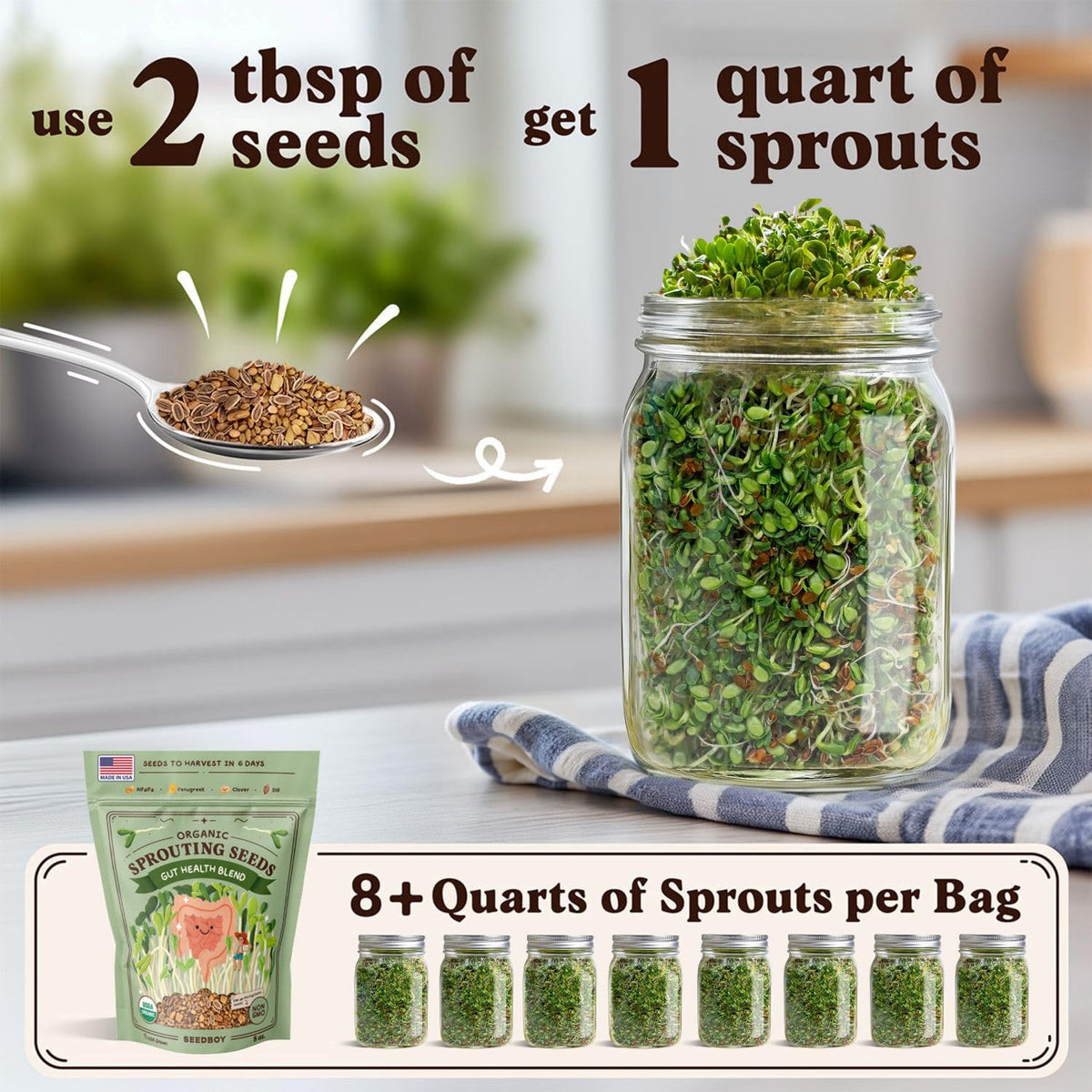 Seedboy Alfalfa Clover Fenugreek Dill mix sprouting seeds for vibrant greens.