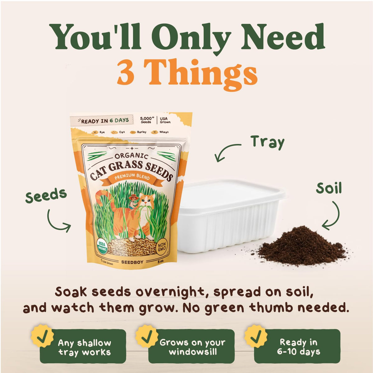 Seedboy indoor cat grass growing tray setup ready for rapid sprouting.