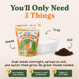 Seedboy indoor cat grass growing tray setup ready for rapid sprouting.