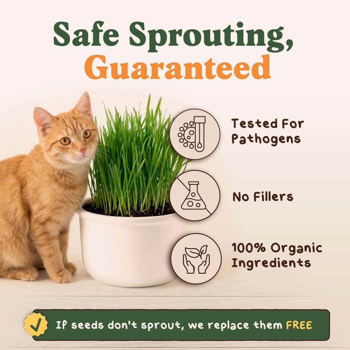 Seedboy cat grass seed blend ready-to-harvest lush blades for indoor cats.