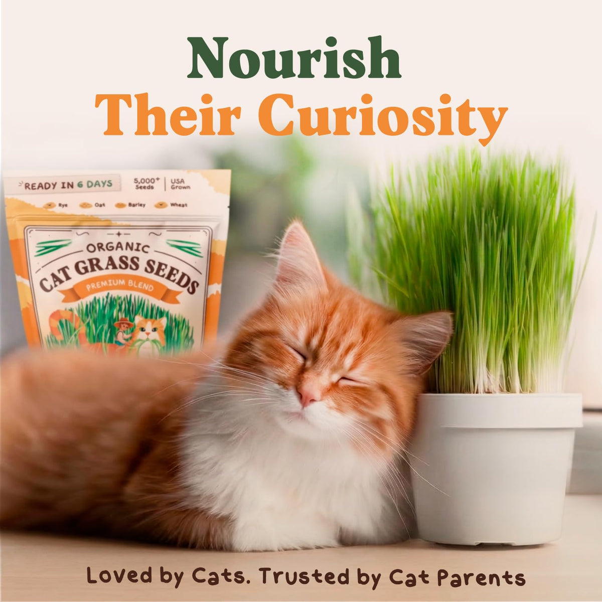 Seedboy cat grass seed blend resealable bag preserves freshness between plantings.