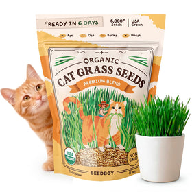 Seedboy cat grass seeds package in resealable bag for easy indoor planting.