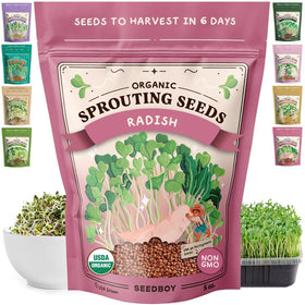 Seedboy Daikon radish sprouting seeds 8oz bag for quick at-home microgreens.