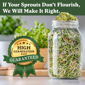 Seedboy Fenugreek sprouts with aromatic, peppery notes for meals.