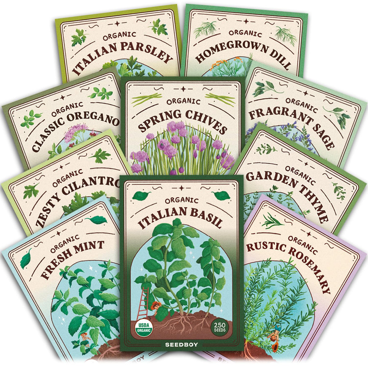 Seedboy Genovese Basil seeds ready to grow vibrant leaves for fresh meals.